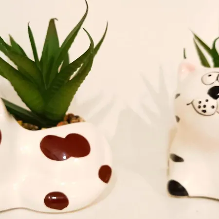 Historic Old Town Escape Cozy 2 Bedrooms Perfect Location