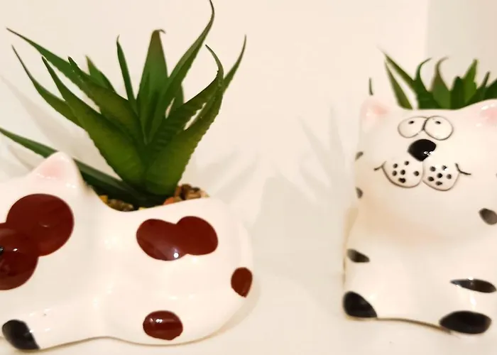 Historic Old Town Escape Cozy 2 Bedrooms Perfect Location